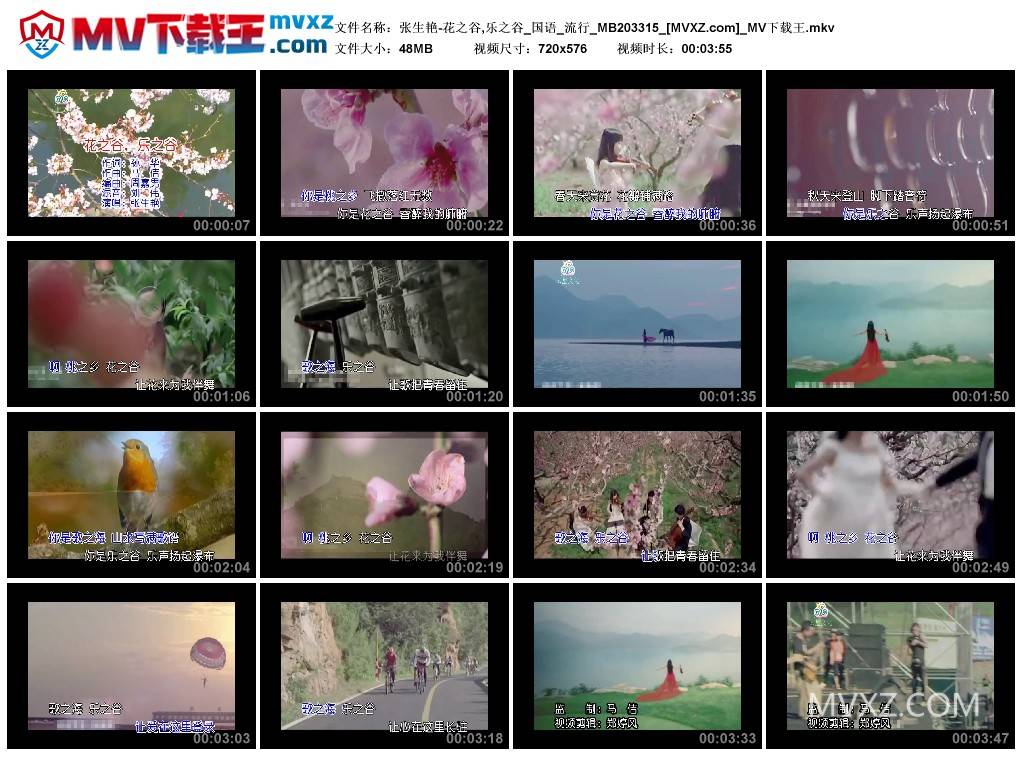 张生艳-花之谷,乐之谷_国语_流行_MB203315